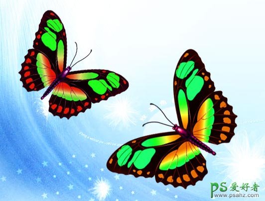 手绘飞舞着美丽的蝴蝶失量图片素材 PS鼠绘教程