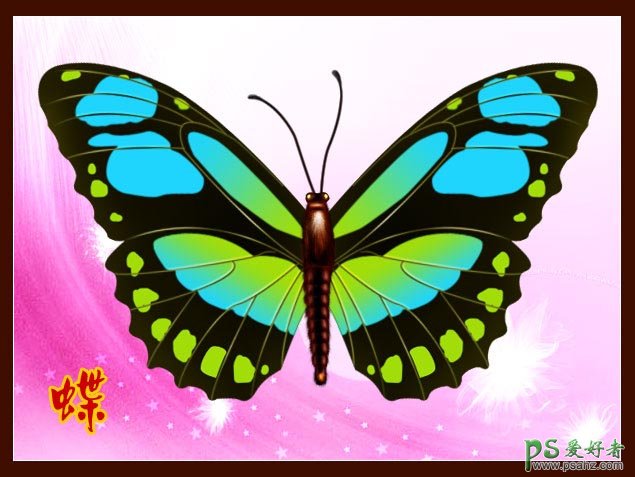 PS鼠绘教程：手绘飞舞着美丽的蝴蝶失量图片素材