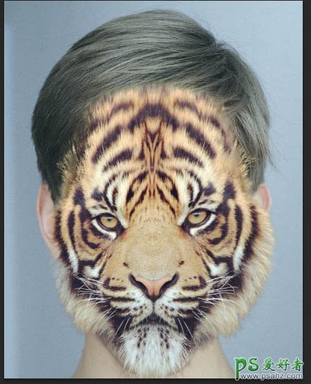 PS人脸合成教程：给漂亮的帅哥脸部换上霸气的虎头图案。