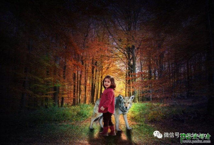 PS场景合成实例：创意打造意境森林中小女孩儿与狼玩耍的场景。