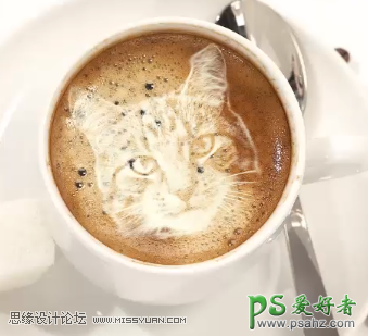 Photoshop设计可爱的猫脸咖啡图片，创意的咖啡拉花，花式咖啡