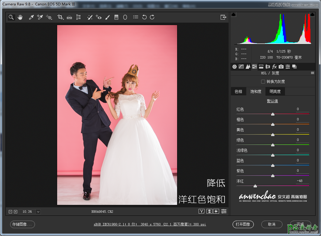 Photoshop给影楼婚纱照调出小清新艺术效果，室内婚纱照片后期美