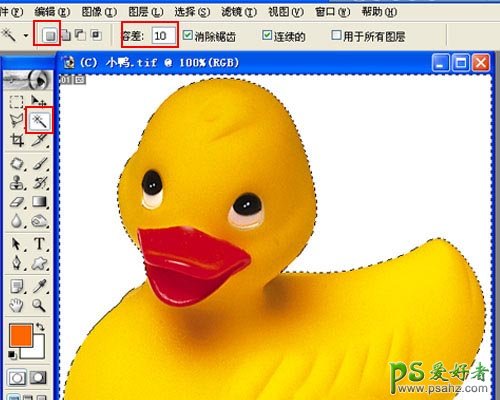 photoshop技巧教程：套索工具和魔术棒工具的使用