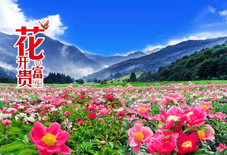 Photoshop合成一幅花开富贵的美景，漂亮的花海风景图片。