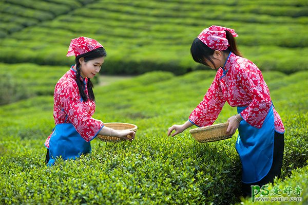 PS图片合成教程：利用多种素材合成出唯美意境风格的茶园风景图片