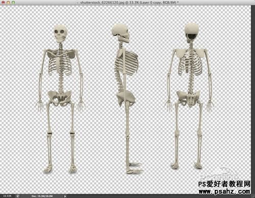 PS文字特效教程：设计漂亮X光片透视骨骼特效文字