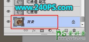 PS抠图教程：学习用通道、调色 选区等工具完美抠出小松鼠素材图