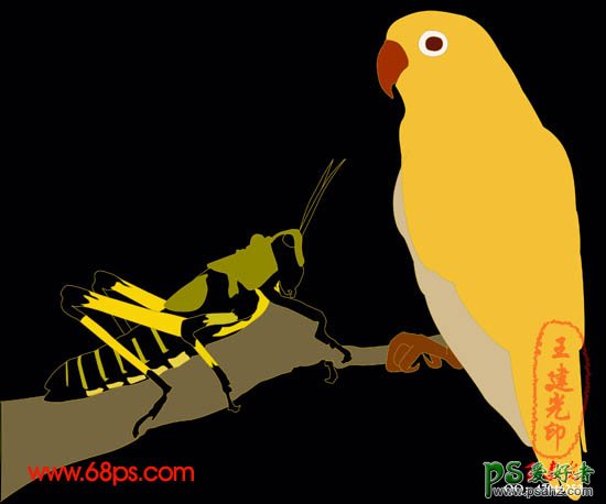 PS鼠绘教程：绘制漂亮的鹦鹉和蝗虫失量图片素材