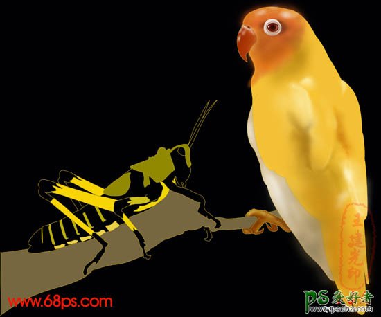 PS鼠绘教程：绘制漂亮的鹦鹉和蝗虫失量图片素材