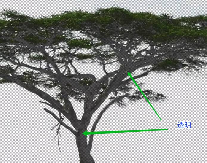 学习用photoshop色彩范围工具抠出背景复杂的大树素材图。