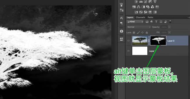 学习用photoshop色彩范围工具抠出背景复杂的大树素材图。