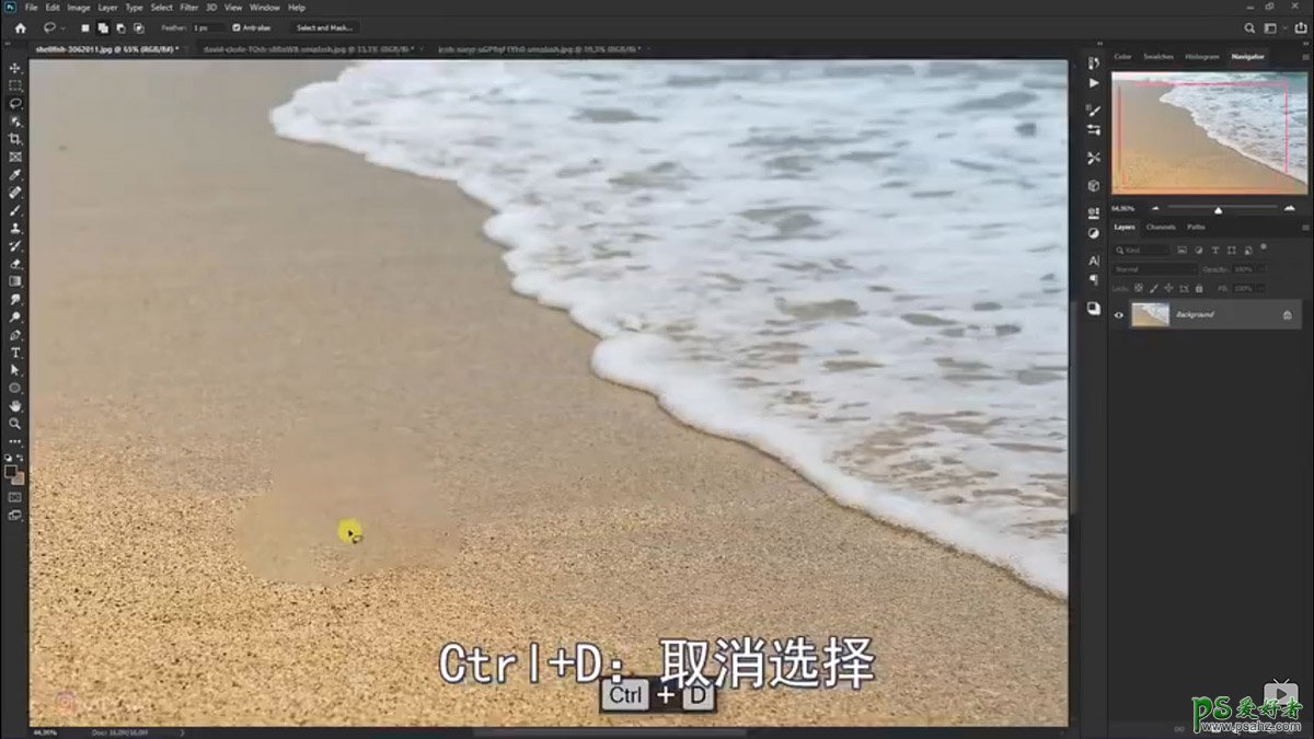 Photoshop创意合成小海龟走进掀开被子效果的海浪中，回家的海龟