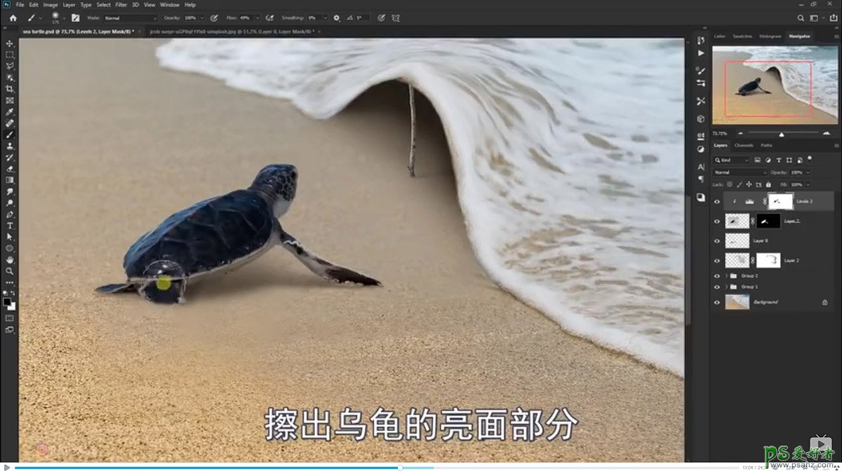 Photoshop创意合成小海龟走进掀开被子效果的海浪中，回家的海龟