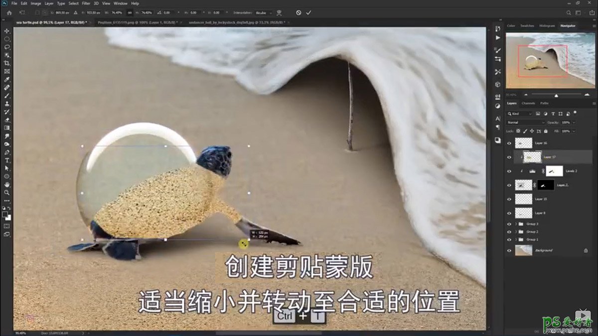 Photoshop创意合成小海龟走进掀开被子效果的海浪中，回家的海龟