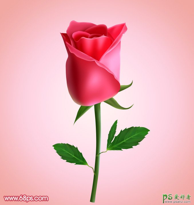 一朵含苞欲放的鲜嫩红玫瑰素材图片 photoshop制作漂亮的红玫瑰