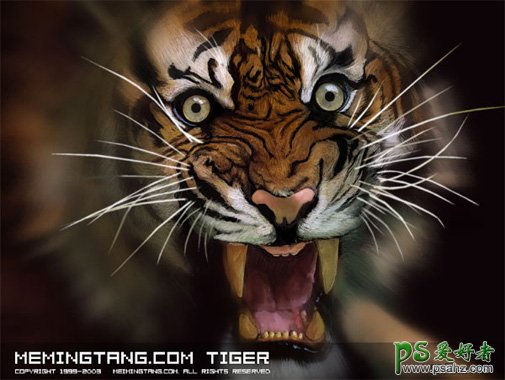 绘制凶猛的森林之王老虎 PS鼠绘教程