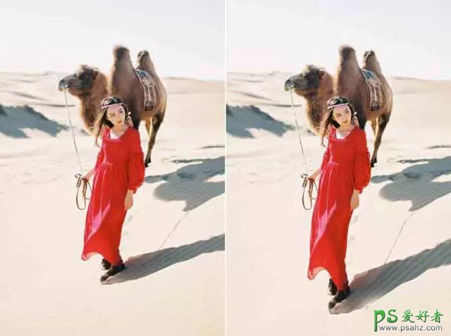 Photoshop给牵着骆驼自拍的红裙美女模特P出大长腿效果。