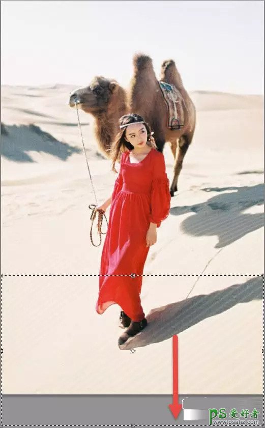 Photoshop给牵着骆驼自拍的红裙美女模特P出大长腿效果。
