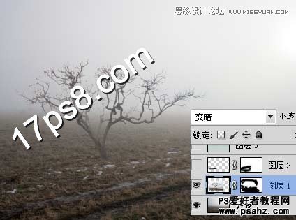 photoshop合成野外朦胧的枯树风景照