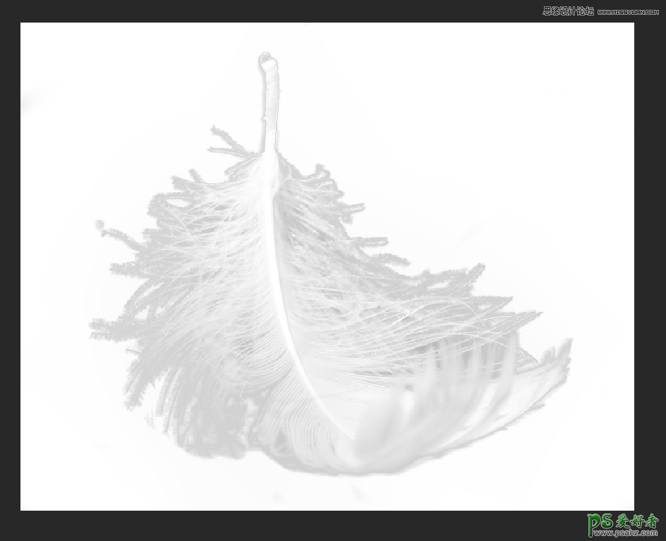 PS抠图教程学习：利用色阶工具快速抠出毛茸茸的羽毛效果图