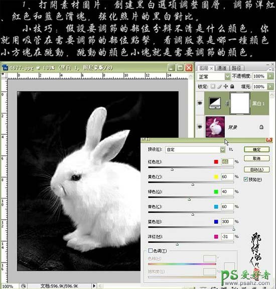 PS CS3抠图实例教程：巧用黑白命令抠出可爱的小白兔