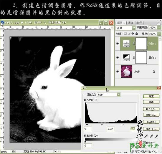 PS CS3抠图实例教程：巧用黑白命令抠出可爱的小白兔