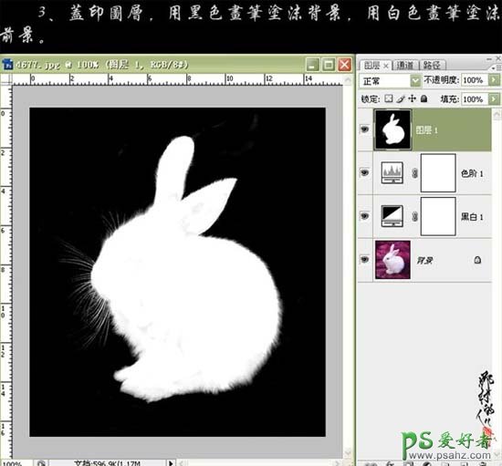PS CS3抠图实例教程：巧用黑白命令抠出可爱的小白兔