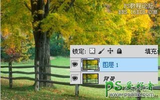 ps照片转油画教程：利用混合器画笔工具把树林风景照转油画效果。