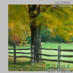 ps照片转油画教程：利用混合器画笔工具把树林风景照转油画效果。