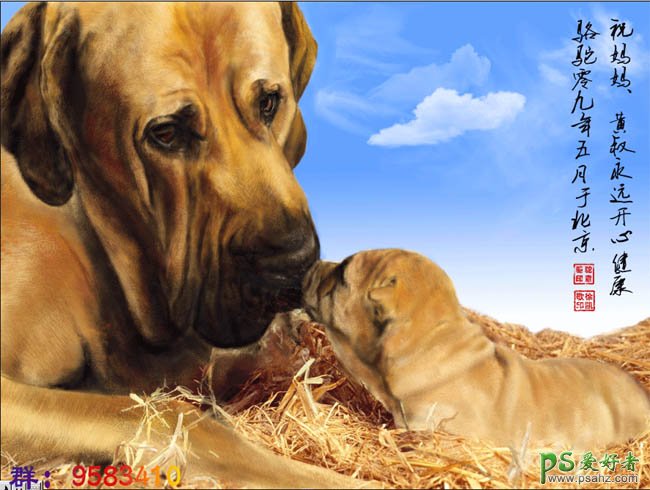手绘漂亮可爱的沙皮狗母子图片素材 PS鼠绘教程