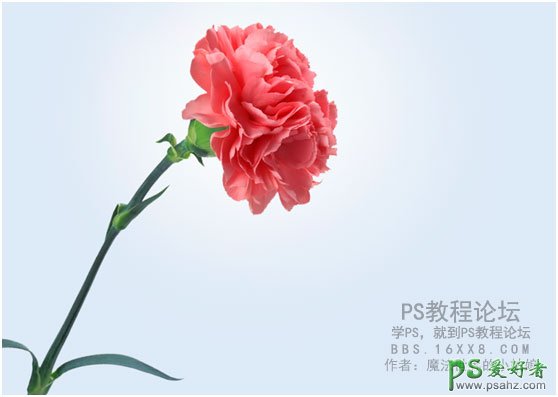 PS平面广告设计教程：制作时尚创意风格的眼镜广告，眼镜宣传海报