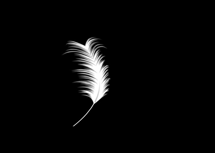 Photoshop手工制作一个白色的羽毛素材图片，手绘羽毛失量图。