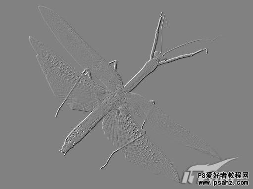 PS照片特效制作教程：设计仿古生物化石标本照片