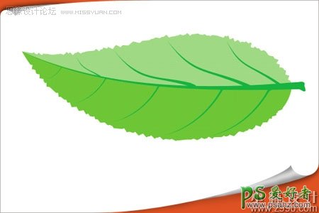 利用CorelDRAW软件制作绿色清新的树叶失量图-绘制漂亮的矢量树叶