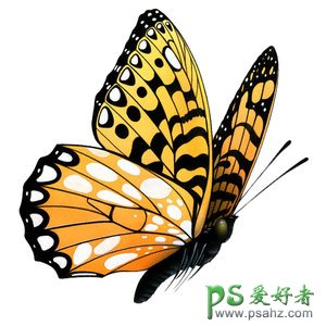 PS合成教程：创意合成超美的手机广告，手机海报