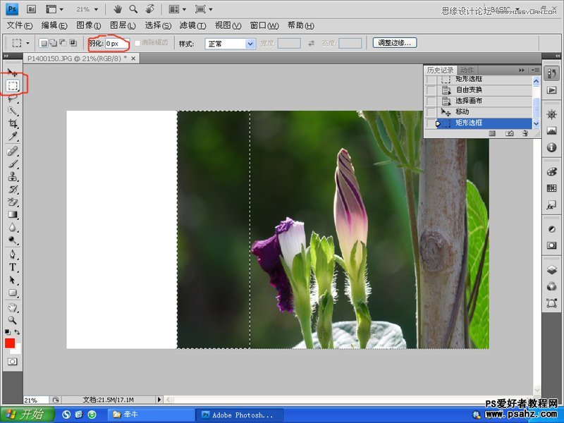 PS后期照片处理教程：利用变换工具给图片进行后期构图