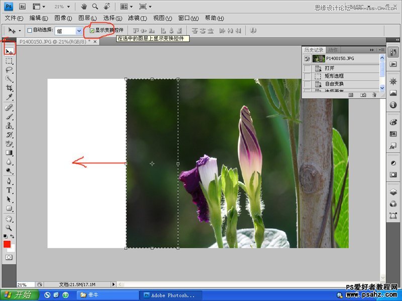 PS后期照片处理教程：利用变换工具给图片进行后期构图