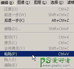 PS文字特效教程：结合IA制作漂亮的3D立体花纹艺术字