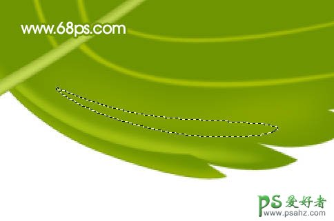 PS实例教程：轻松制作一例青绿色的叶子素材图片