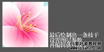 photoshop鼠绘一枝梅花，粉色漂亮的梅花图