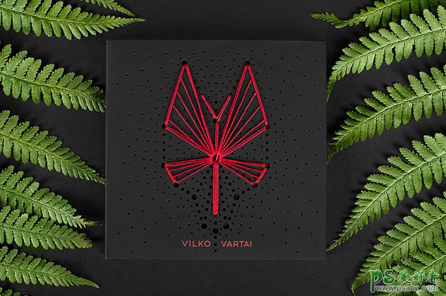 立陶宛Ernesta Vala创意CD包装盒设计作品，漂亮的CD概念版创意设