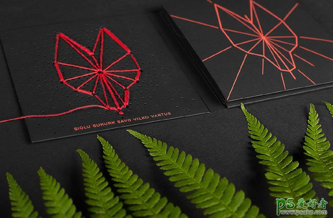 立陶宛Ernesta Vala创意CD包装盒设计作品，漂亮的CD概念版创意设