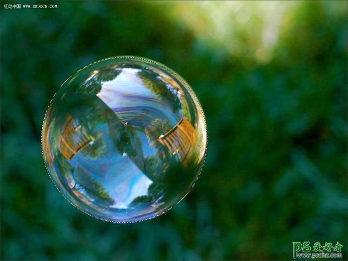 photoshop合成实例教程：打造一只透明玻璃质感的癞蛤蟆-透明蛤蟆