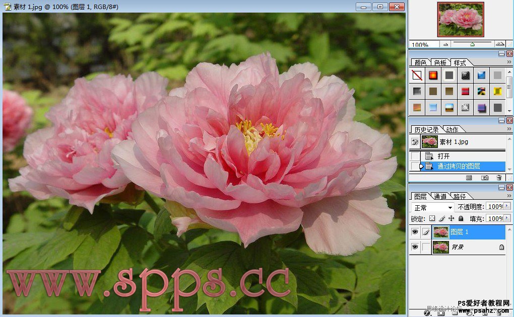 photoshop设计漂亮的插画水晶牡丹花卉图片教程实例