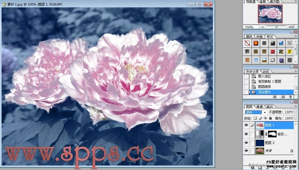 photoshop设计漂亮的插画水晶牡丹花卉图片教程实例