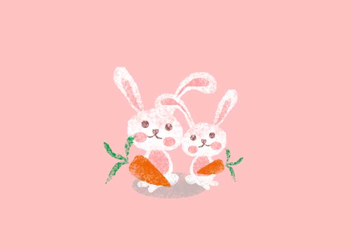 学习绘制两只可爱小白兔卡通小插画 PS手绘小动物教程