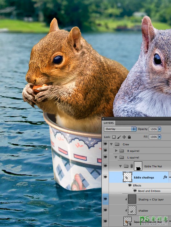 国外PS合成教程：将一对夫妇松鼠合成在一个咖啡杯，浮在水面