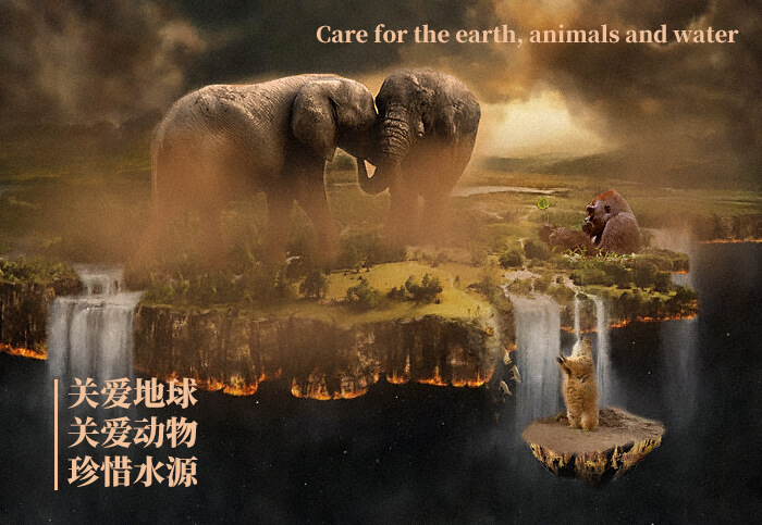 PS海报设计教程：打造保护环境公益海报场景，关爱地球、关爱动物