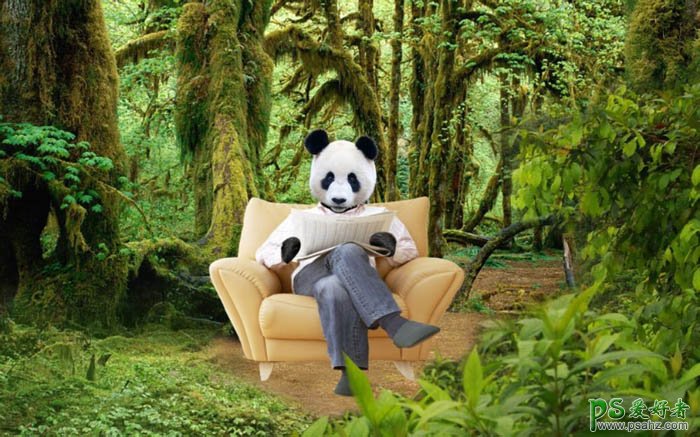 PS人与动物合成教程：把大熊猫与老人合成出密林中看报的熊猫人
