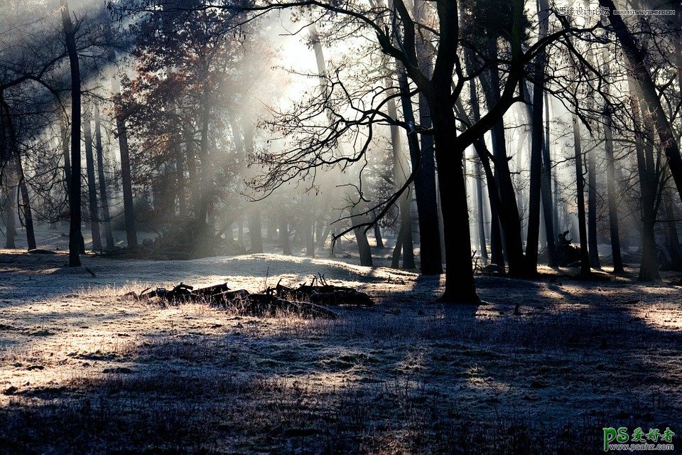 PS摄影后期教程：给漂亮的树林风光大片制作出丁达尔光线效果